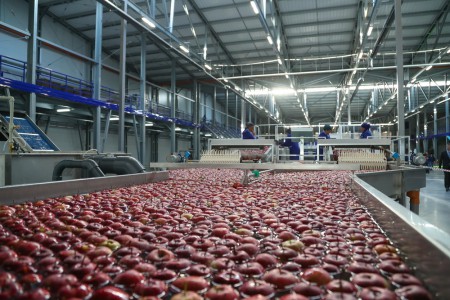 В Ингушетии запустят производство фруктовых напитков и тары для сбора и упаковки плодов