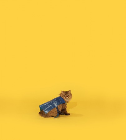 Memac Ogilvy & Mather для IKEA