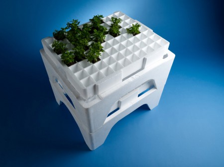 "КНАУФ Пенопласт" выпустил лотки из пенополистирола для выращивания зелени