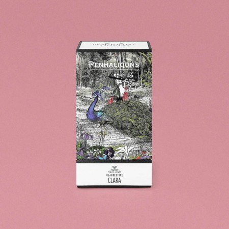 дизайн упаковки парфюма Portraits