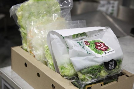 Завод по переработке плодоовощных культур "Прованс Групп" открылся в Тюменской области