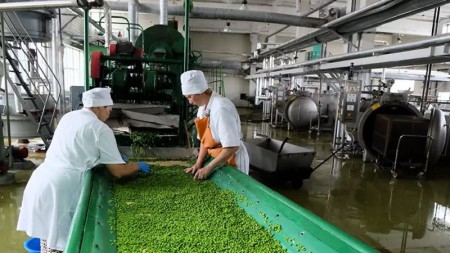 "Горынский агрокомбинат" начал выпуск отварных овощей в вакуумной упаковке