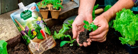 "Чудо Плодородие"