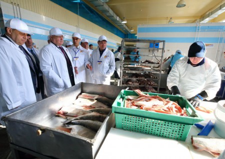 Губернатор Томской области открыл новый завод по переработке рыбы