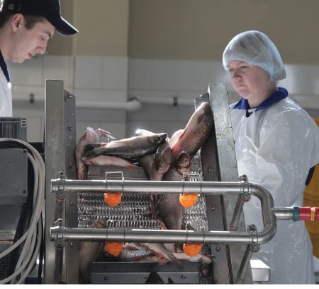 Губернатор Томской области открыл новый завод по переработке рыбы