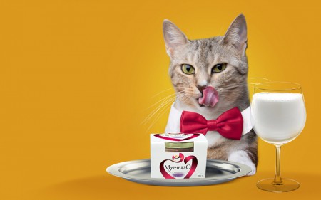 "Мурчелло" — ресторанное меню для усатых гурманов