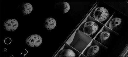 Космические яйца от Backbone Branding