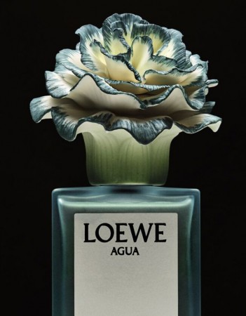 Исключительная упаковка для парфюма Loewe