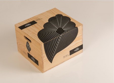    100 Hectares filigrana