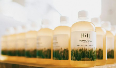    Kombucha Hill