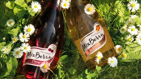   MixBerry