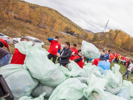 Coca-Cola      "    "