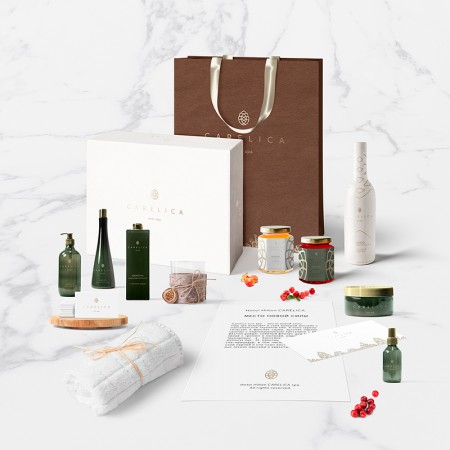 Brandson   spa- Carelica 