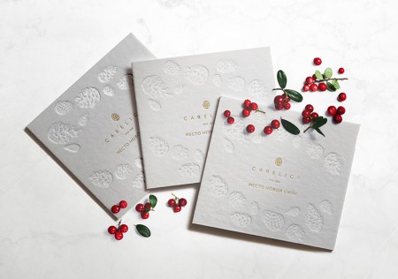 Brandson   spa- Carelica 