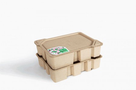      RONG Design and Consulting Company