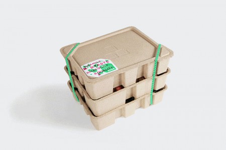      RONG Design and Consulting Company