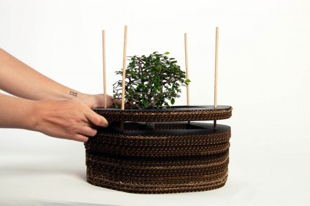 Упаковка-трансформер Araki