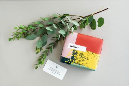 Aida Pioneer      Anflor