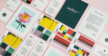 Aida Pioneer      Anflor