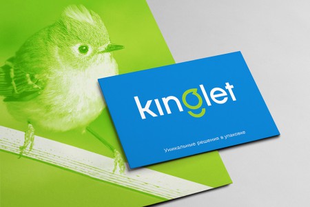 Kinglet 