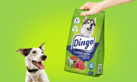     Dingo