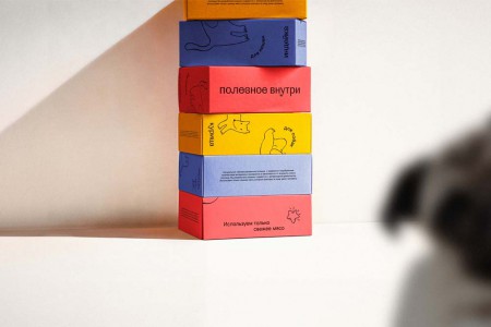 Repina branding      " "