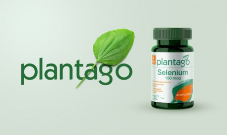    Plantago
