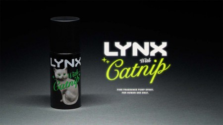 Lynx      