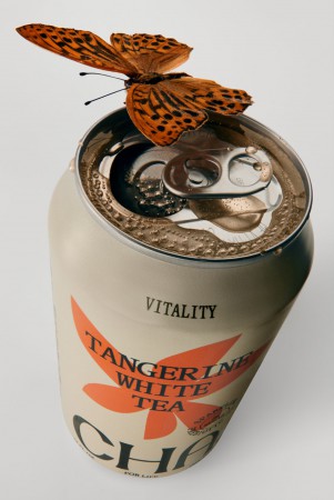 Wedge Studio      Cha