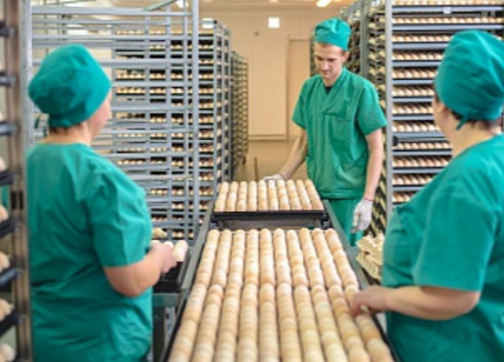 ""  186         2016 