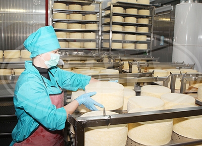 Белгородский "Ровеньки-маслосырзавод" запустит новый цех по производству сыров